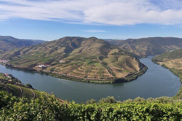 Wine Trip - cover photo