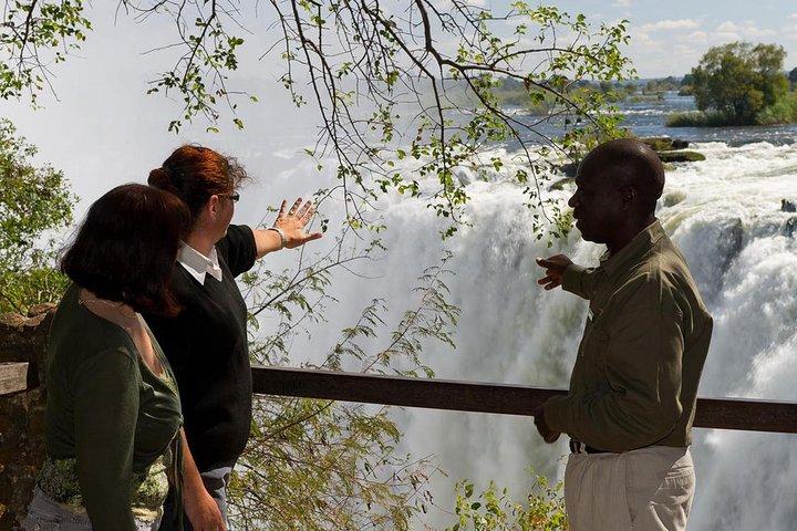 Guided Tour of the Victoria Falls - photo 3