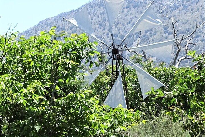 Small Group Tour to Authentic Villages Lasithi Plateau&Olive Mill - cover photo