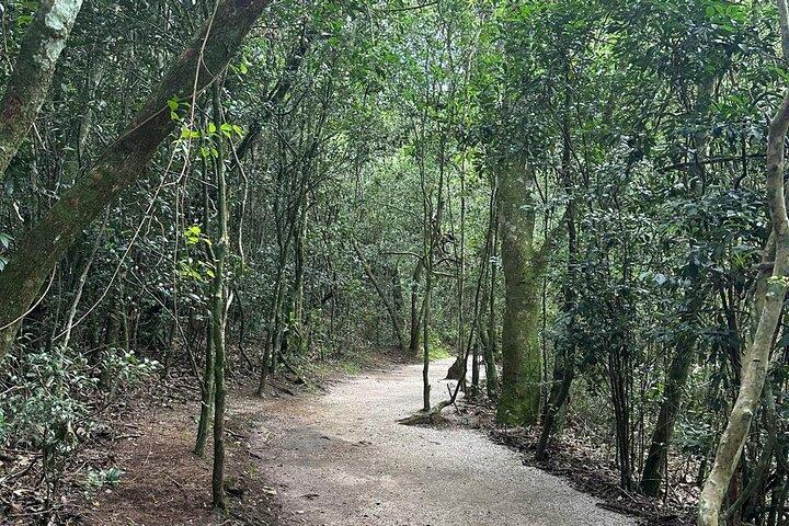 Guided tour to the Canyon of Guartelá - photo 3
