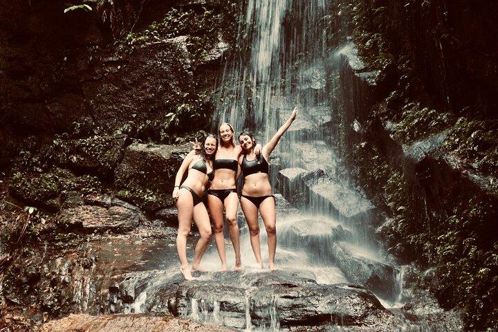 Wildlife, Waterfalls and Caves: Tijuca Rainforest Hike in Rio de Janeiro - photo 2