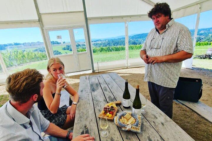 Private Wine Tasting at Vineyard From Krakow - photo 3