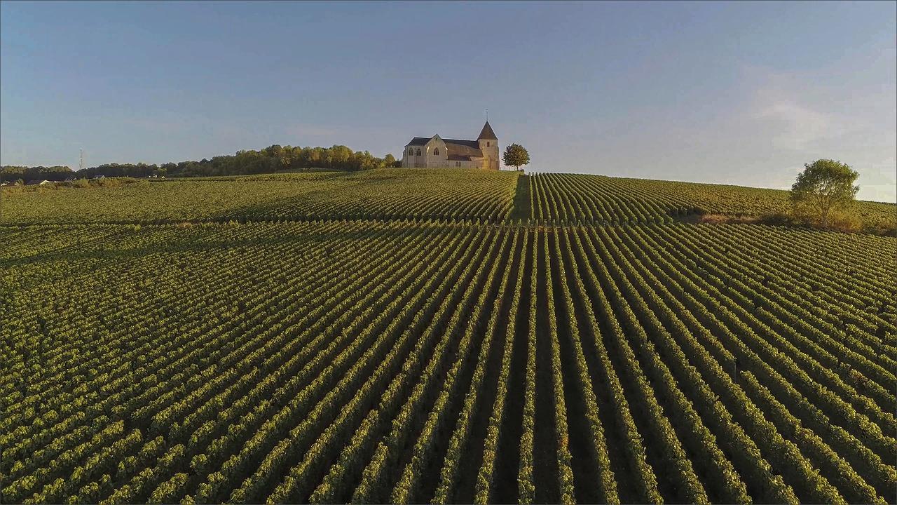 Champagne Region Day Trip: Explore Reims & Épernay by Train - photo 4