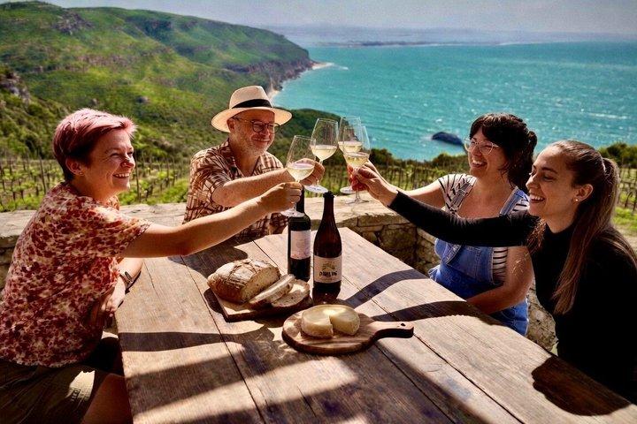 Private Lisbon Wine Tour - Setubal, Arrabida, 3 Wineries & Lunch - cover photo