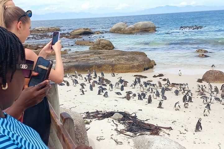 Full-Day Tour to Cape of Good Hope & Penguins from Cape Town - photo 4