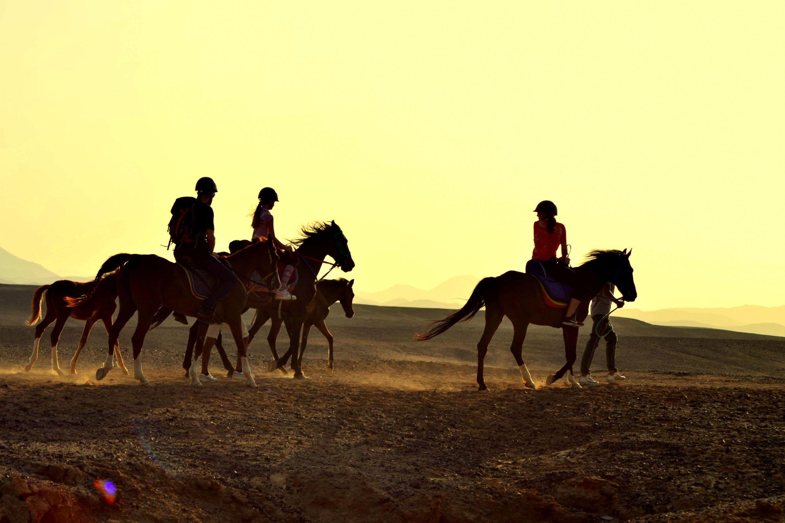 Swimming With Horse Riding Hurghada Tour Option Dinner & Show - photo 4
