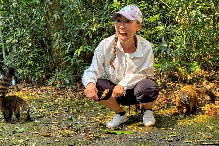 Wildlife, Waterfalls and Caves: Tijuca Rainforest Hike in Rio de Janeiro - photo 5