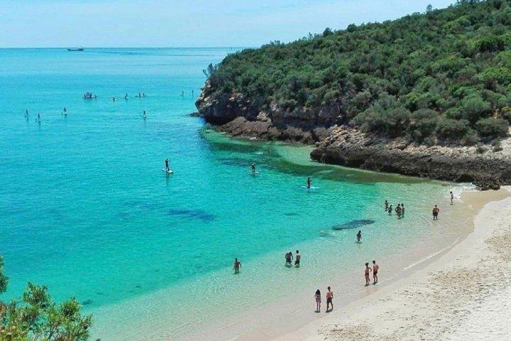 Arrabida Private Scenic Coast Tour and Wine Experience - cover photo