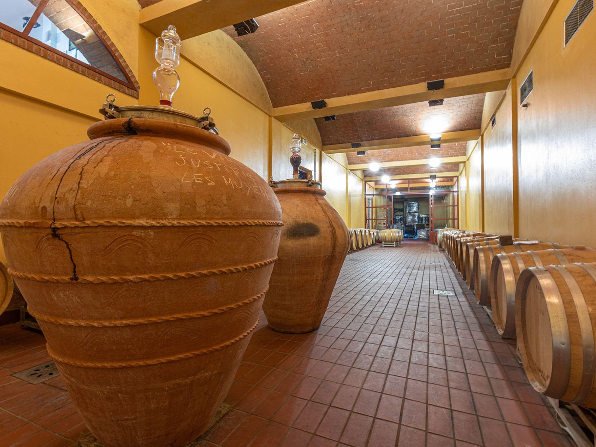 Winery Tour & Wine Tasting with Food near Livorno & Pisa - photo 4