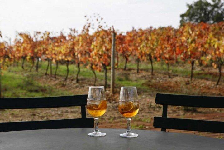 Setubal, Arrabida and Azeitão Private Wine Tour from Lisbon - cover photo