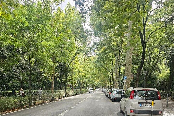 Golf Cart Tour Panoramic Michelangelo in the Florence Hills - photo 5