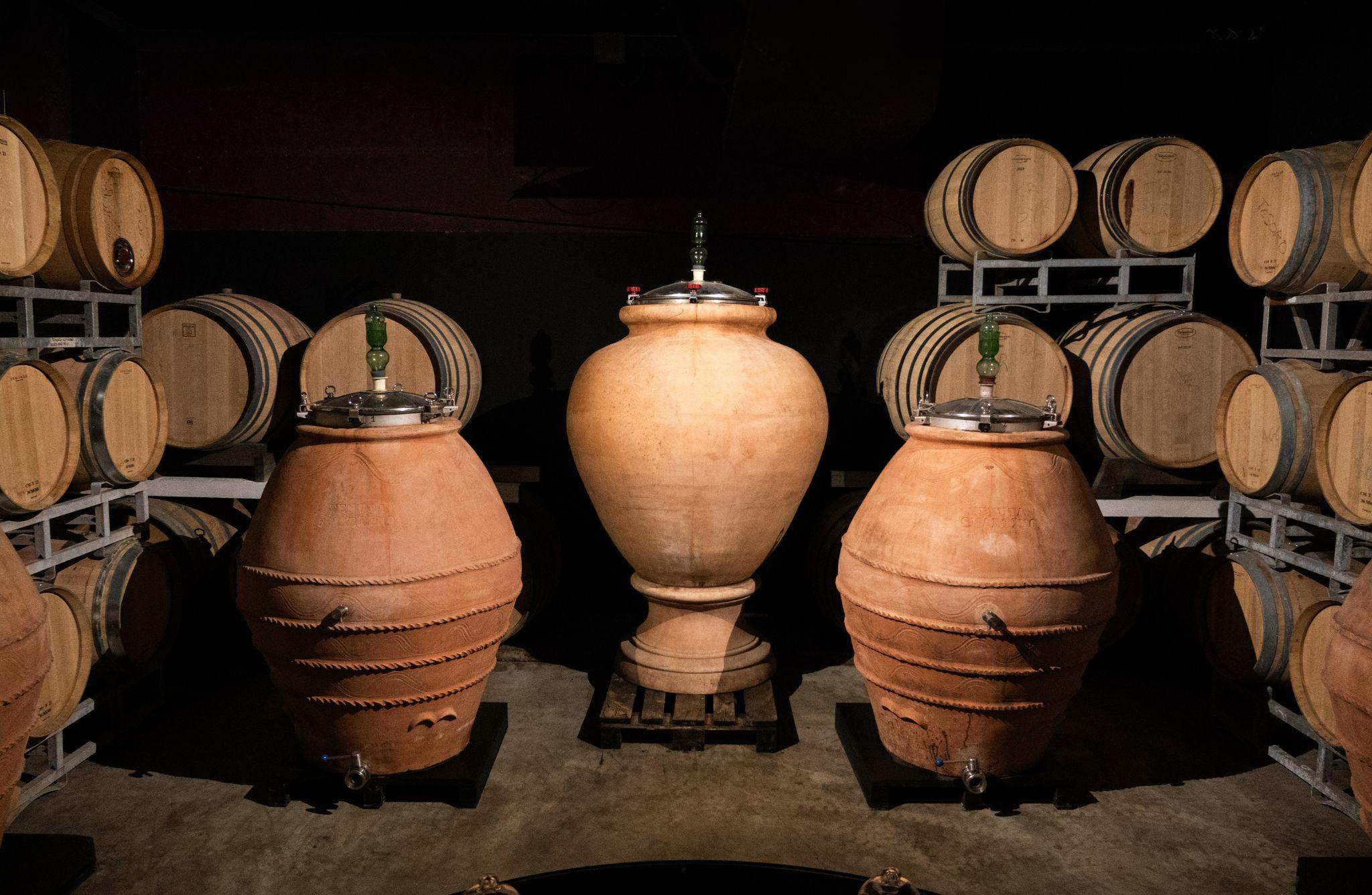 Chianti Winery Tour with VR & Blind Tasting near Florence - photo 5