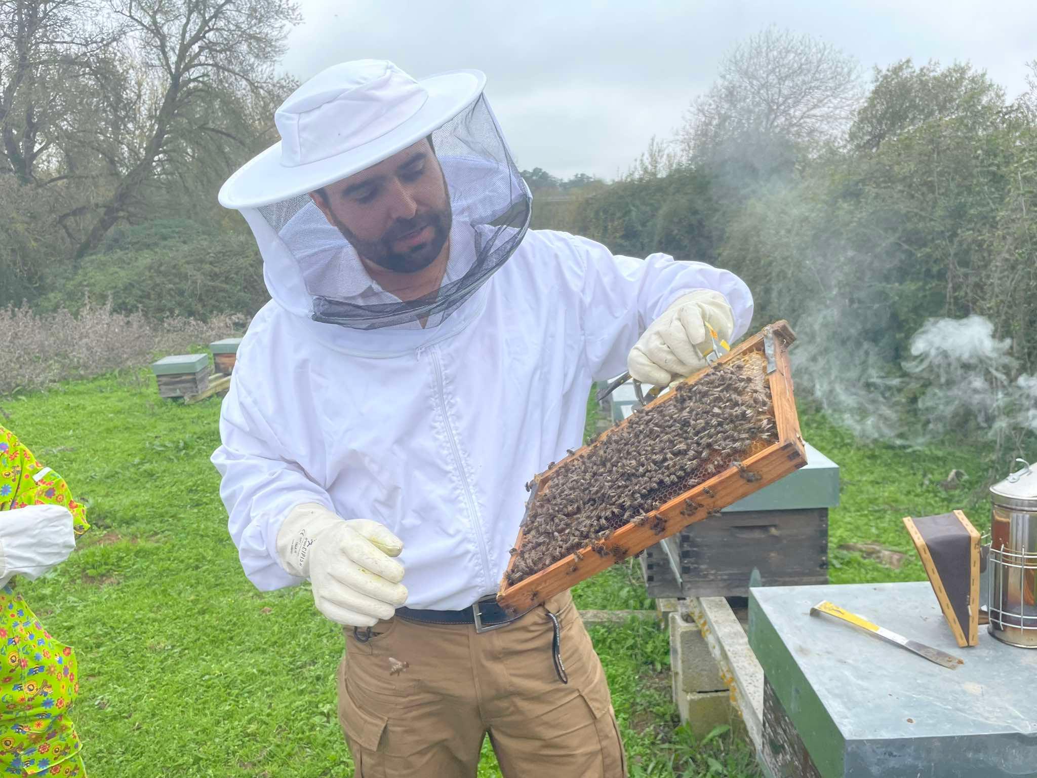 Évora or Montemor-o-Novo: Guided tour of the hives and honey tasting - cover photo