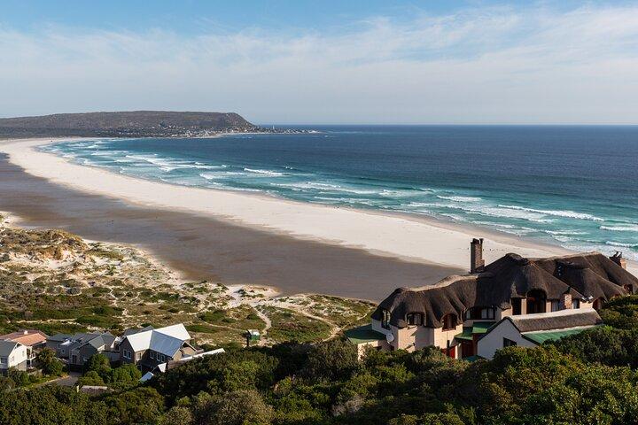 Cape Peninsula Tour - photo 5
