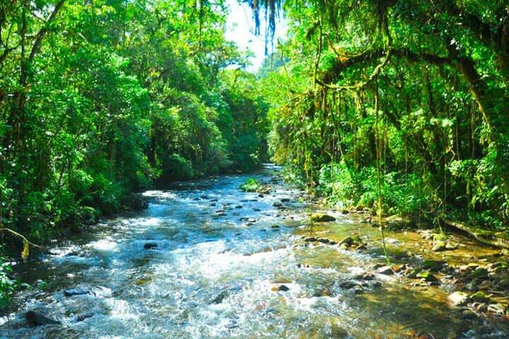 6-Day São Paulo Tour: From City, Waterfalls and Caves - (Petar) - photo 5