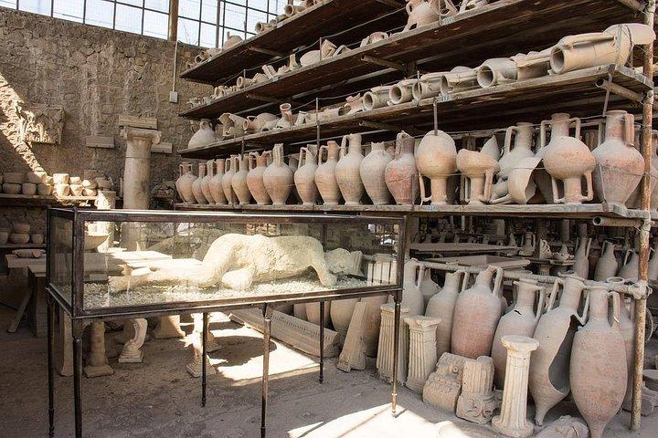Discover Pompeii: Amazing Day Trip from Rome by High-Speed Train - photo 3