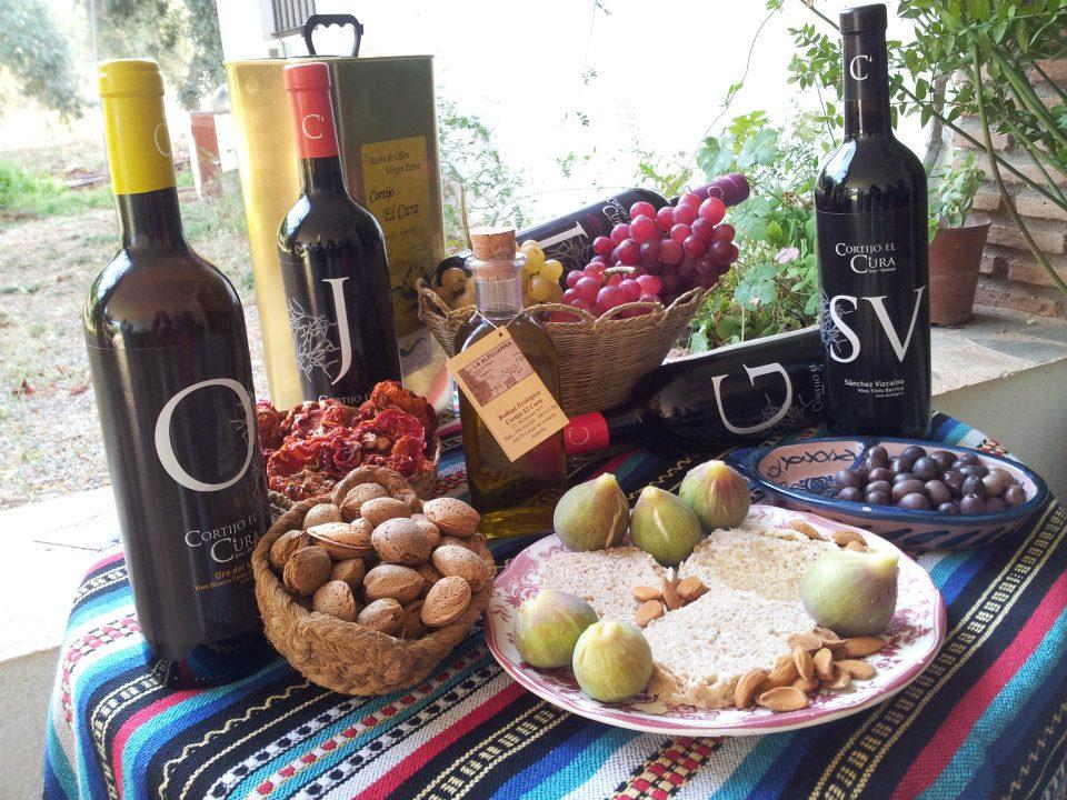 Organic Winery Tour in La Alpujarra with Wine Tasting & Local Snacks - cover photo