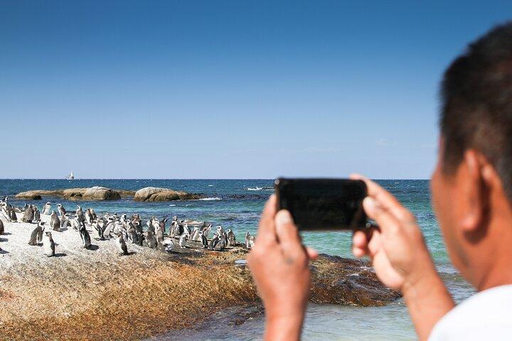 activity image