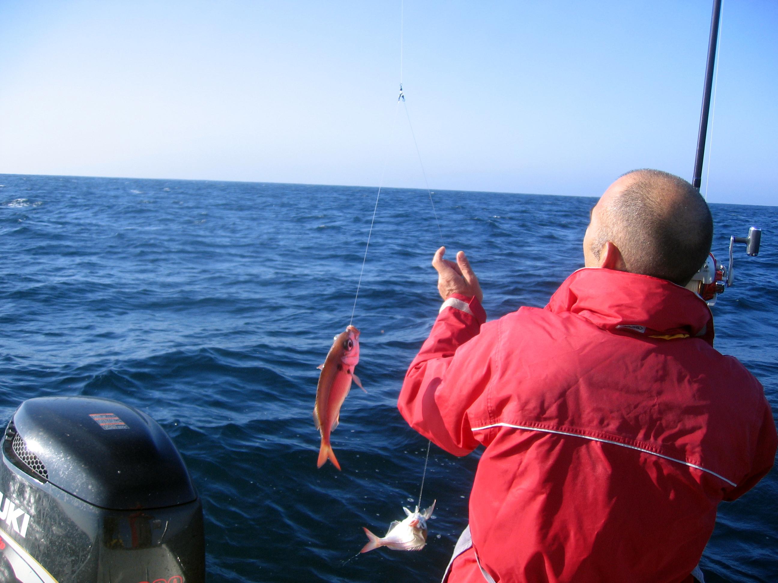 Cascais Small Group Deep-Sea Fishing Experience - photo 2
