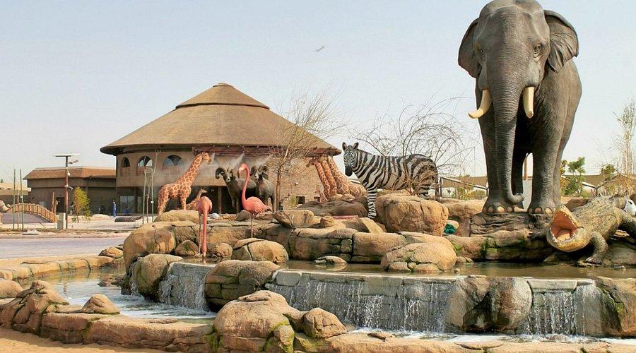 Dubai Safari Park Tour with Private Roundtrip Transfers - photo 3