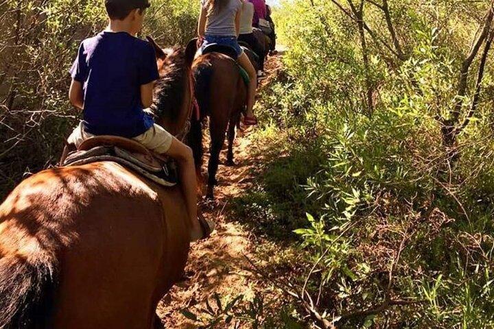 Quilombo Visit with Horse Backriding and Waterfall Tour - photo 4