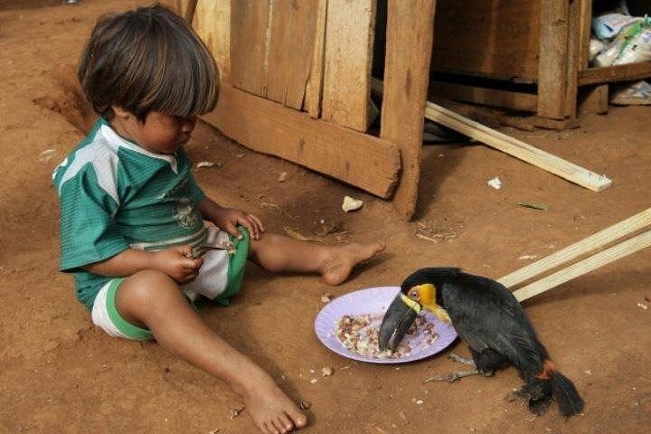Private Full-Day Visit to an Indigenous Village in São Paulo - photo 3