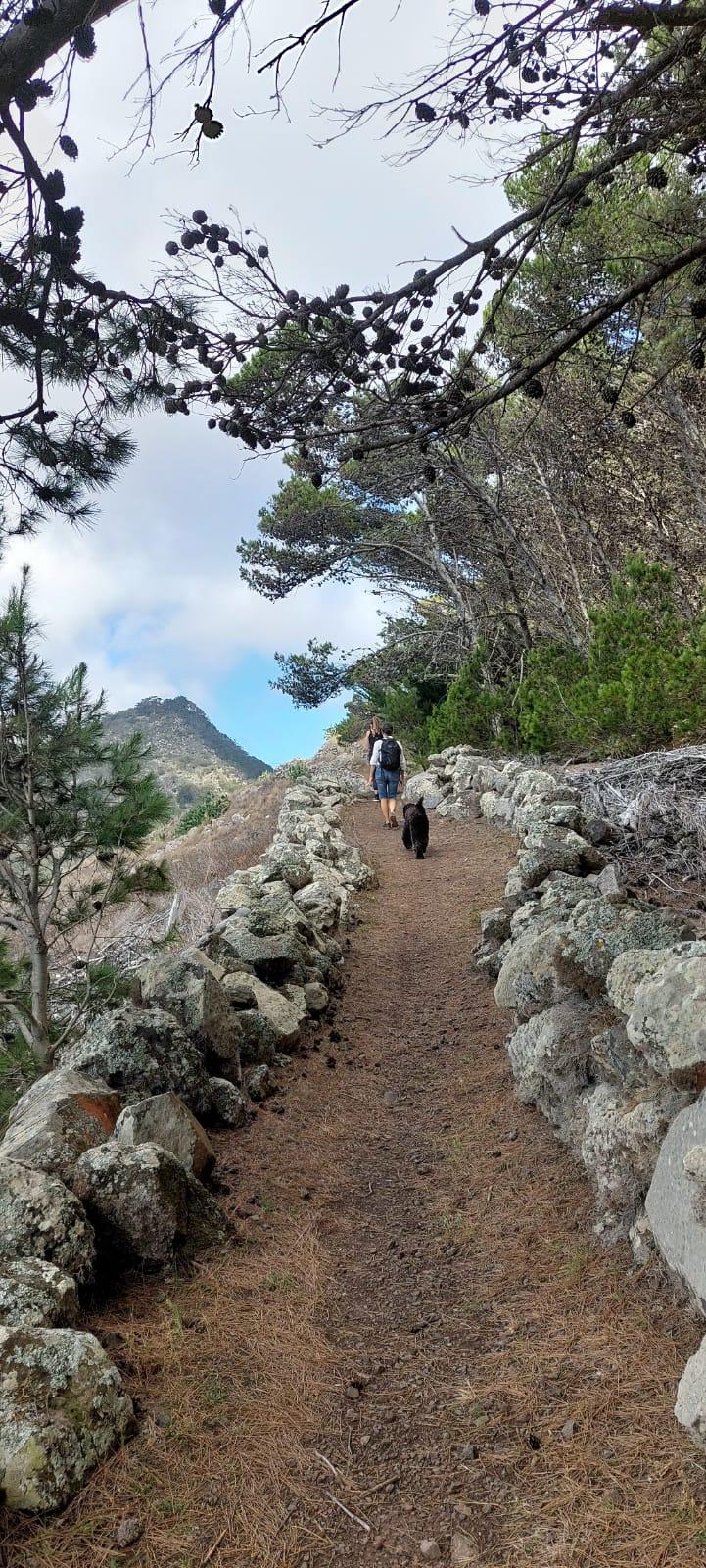 Pico do Facho Panoramic Trail - photo 5
