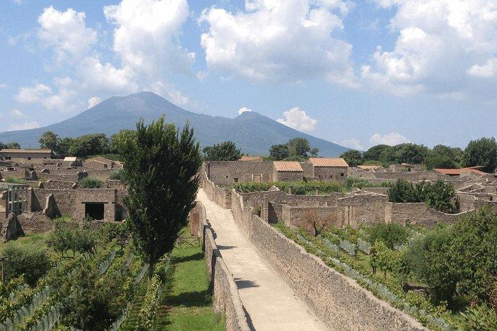 Pompeii & Vesuvius from Naples - Low Cost - photo 5