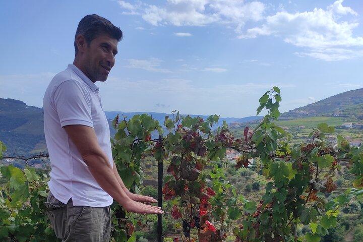 Vinho Verde 2 Wineries + Guimarães - from Porto - cover photo