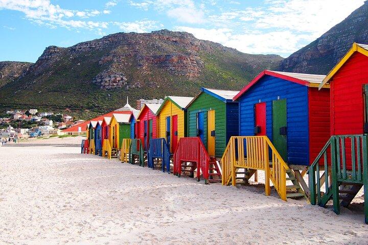 Cape Point , Boulder Beach Penguins and Cape of Good Hope Tour. - photo 4
