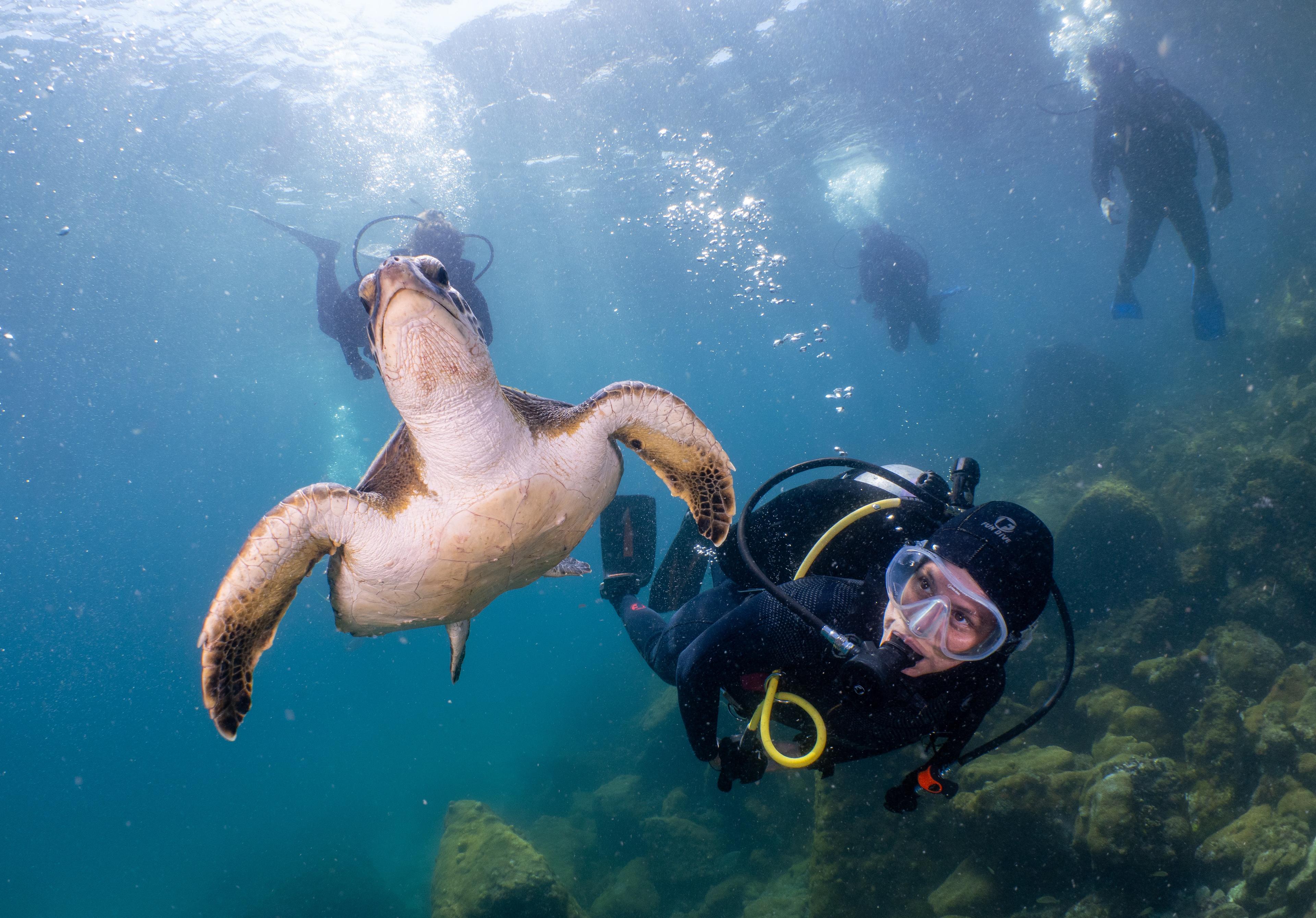 Scuba Diving Day Trip from Rio to Crystal Clear Waters - photo 5