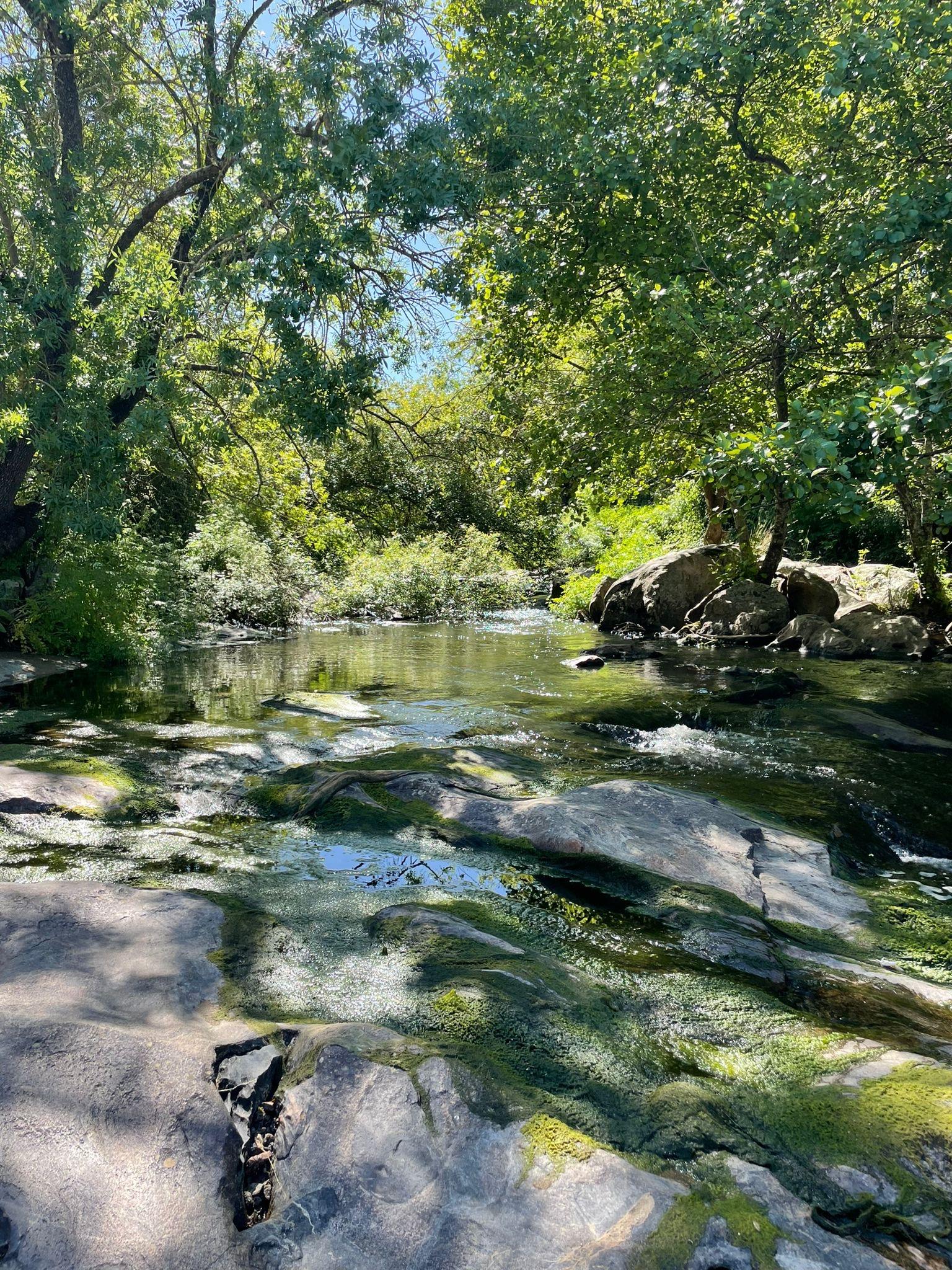 Montemor-o-Novo: Guided Hiking Tour with Lunch - cover photo