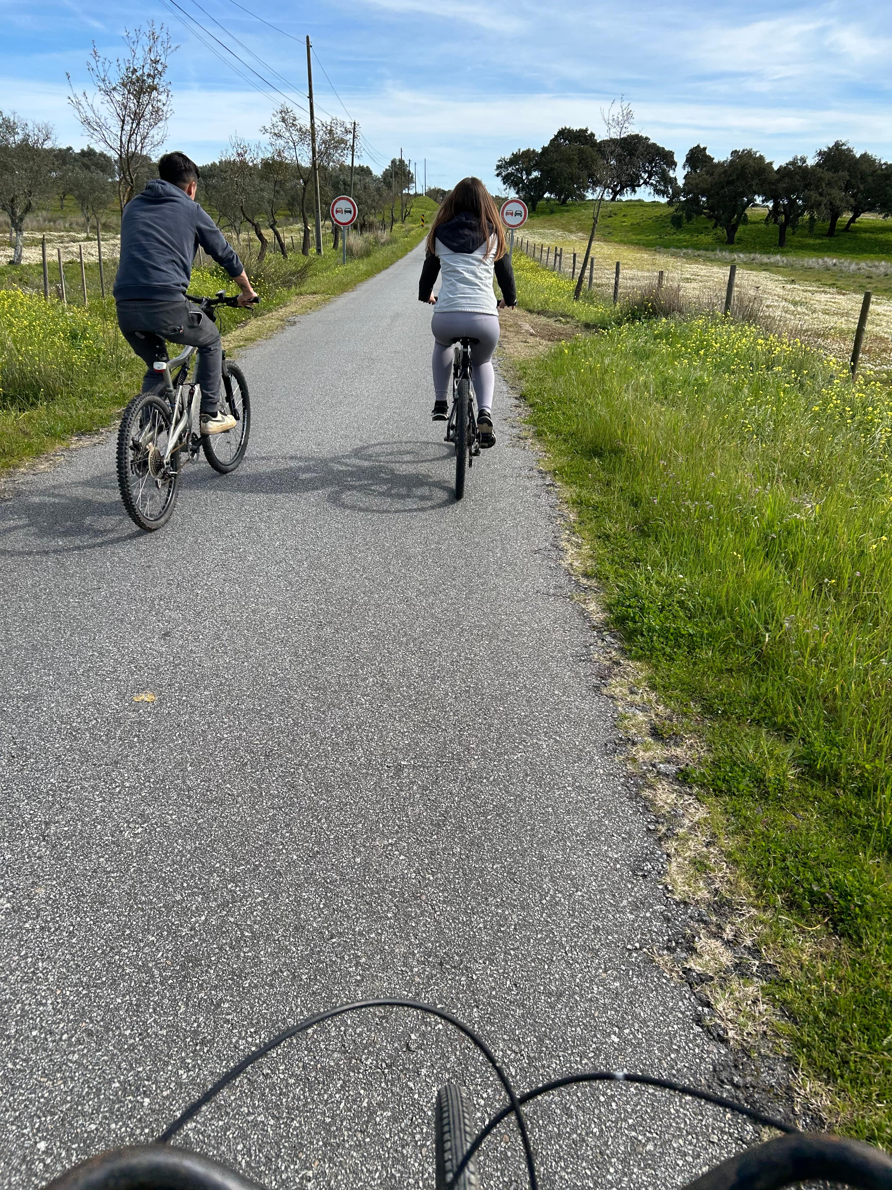 From Montemor-o-Novo or Évora: Bike Tour through the Alentejo Montado - photo 4