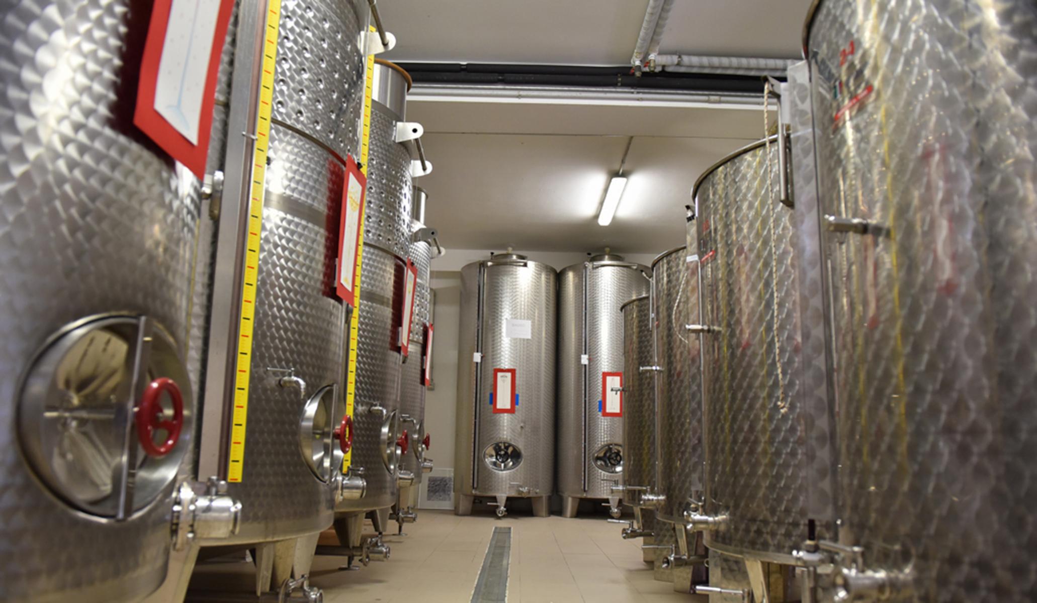 La Vinarte Winery and small Tasting - cover photo