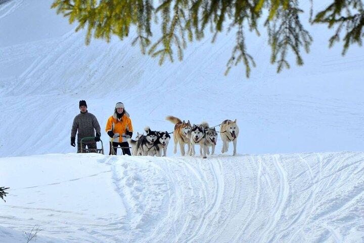 Kraków- An Unforgettable Adventure With Full Dog Sled Ride - photo 2