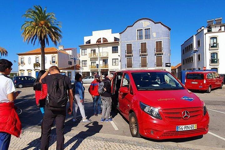 Aveiro and Costa Nova with Moliceiro Cruise Half Day PRIVATE - photo 4
