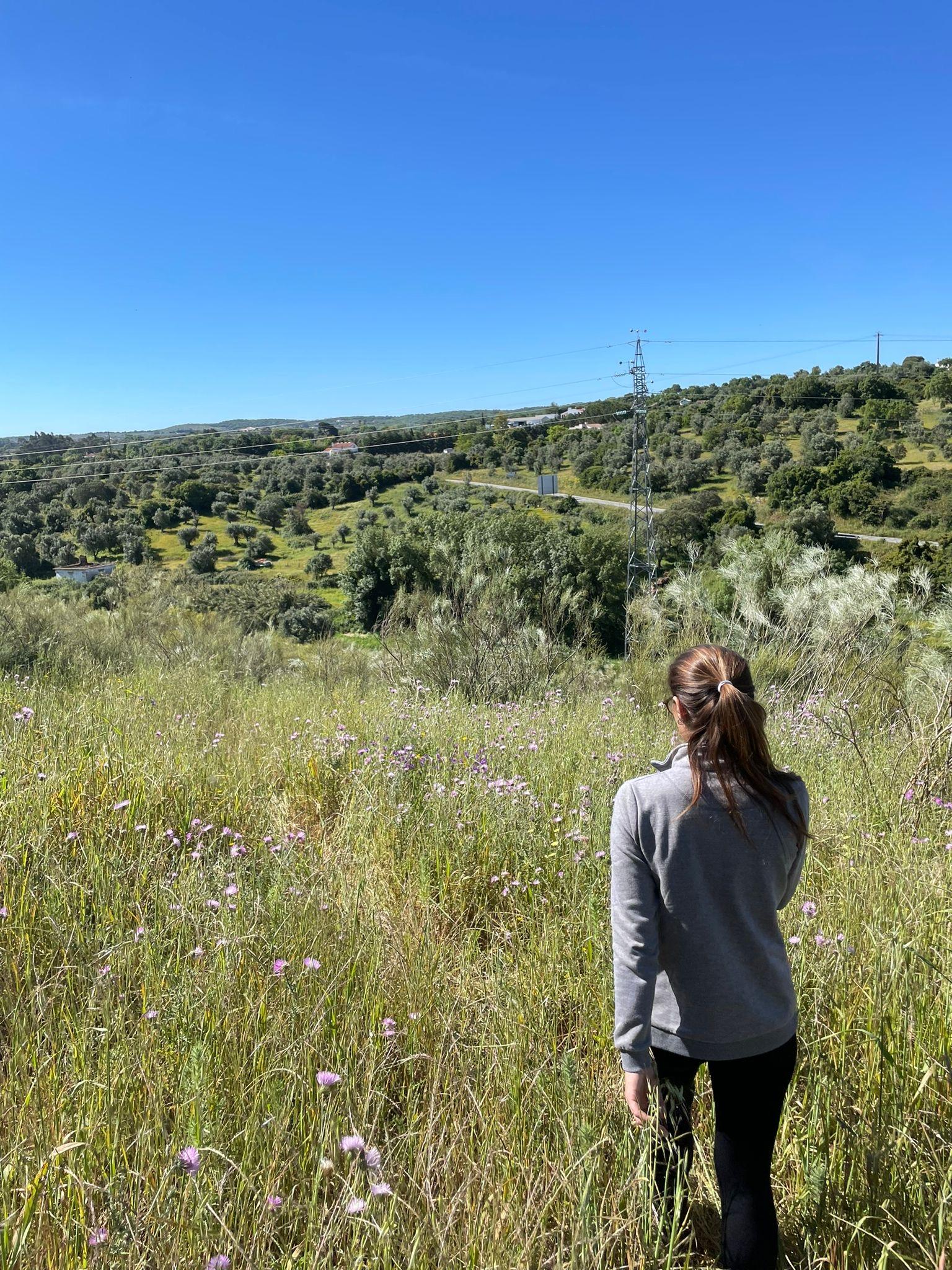 Montemor-o-Novo: Guided Hiking Tour with Lunch - photo 4