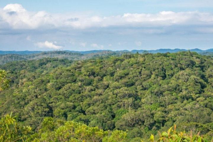 Immersion In An Untouched Ecosystem – Adventurous Full Day Hiking Tour - photo 2