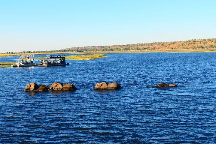 South Africa, Botswana and Zimbabwe Wildlife Adventure - cover photo