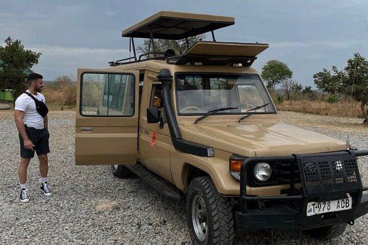 2 Days Mikumi National Park Safari From Dar es salaam or Zanzibar - cover photo