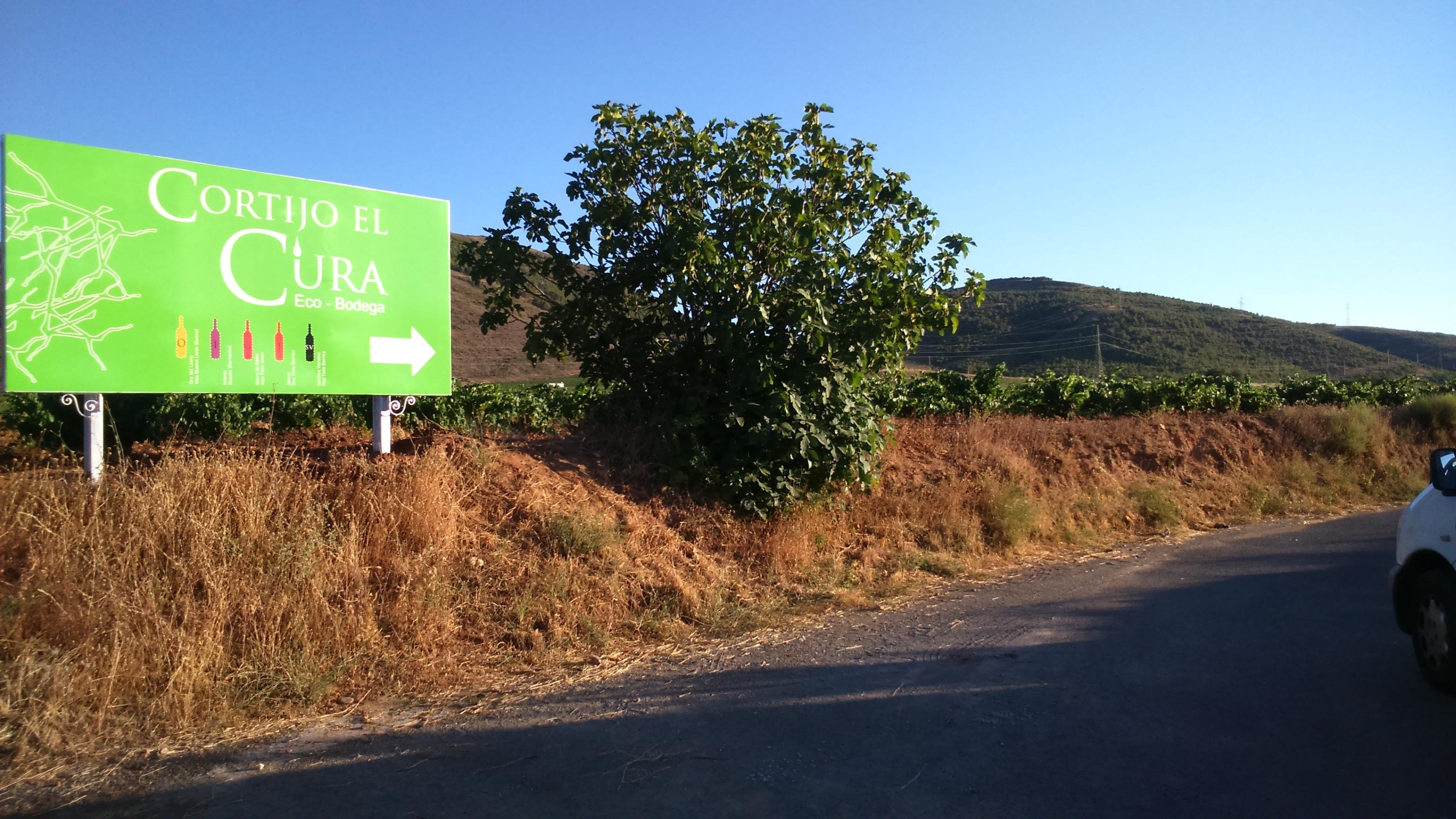 Wine tour and tasting in Almería - photo 5