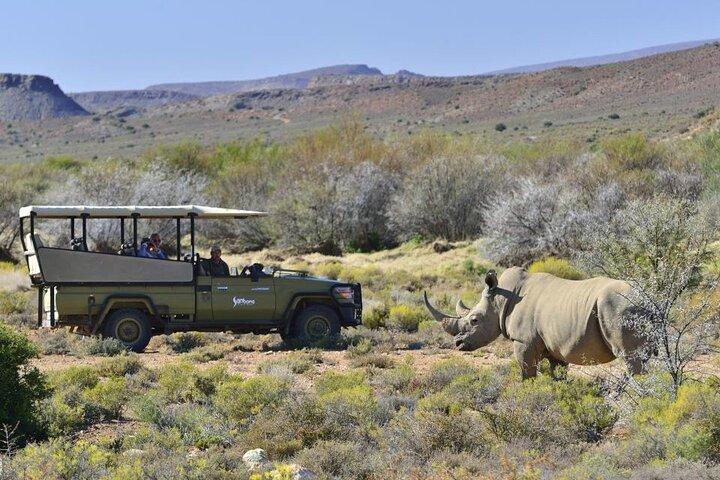 Cape Town-2 Days 1-Overnight Sanbona Big Five Safaris Game Reserv - cover photo