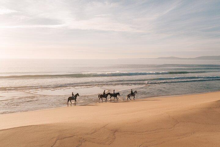 Horse Riding on the Beach with private transfer from Lisbon - photo 4