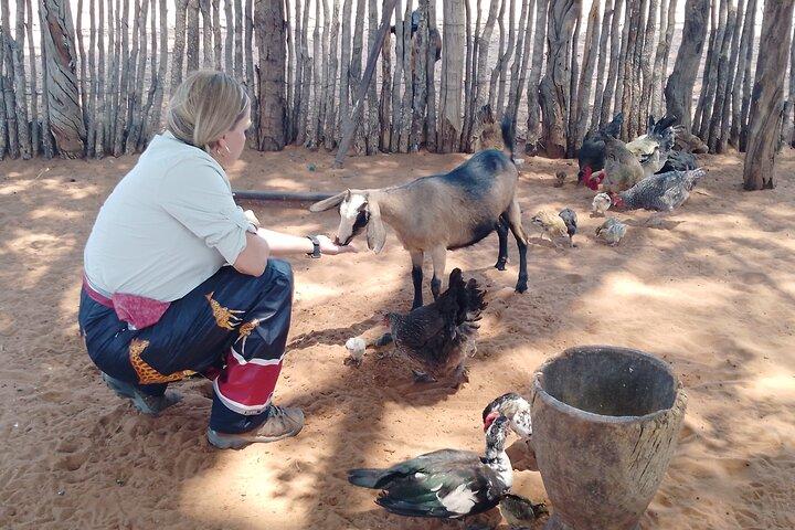 African Village Tours - cover photo