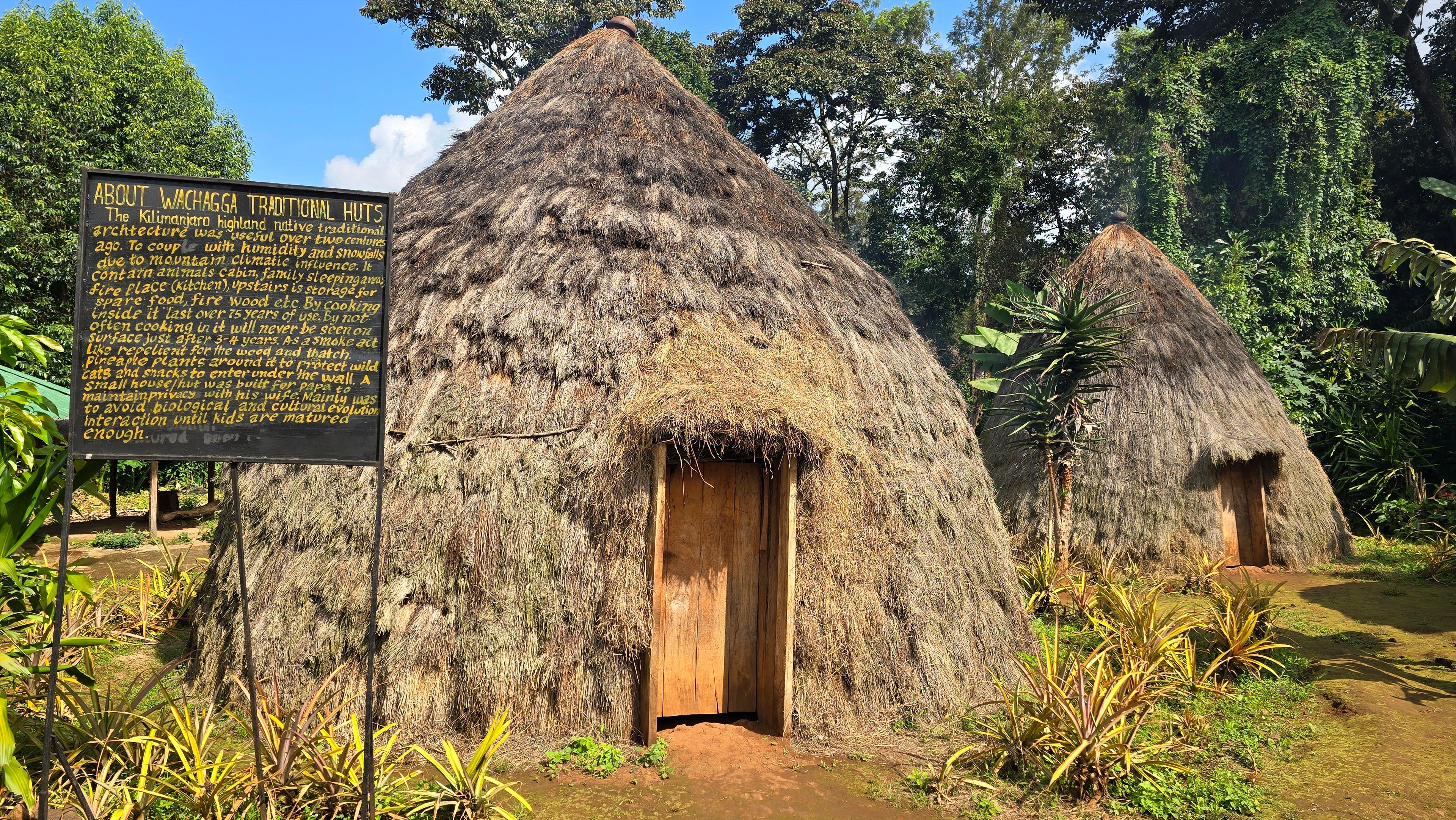Kilimanjaro: Marangu Day Trip | Waterfalls | Coffee Tour & Chagga Culture - photo 2