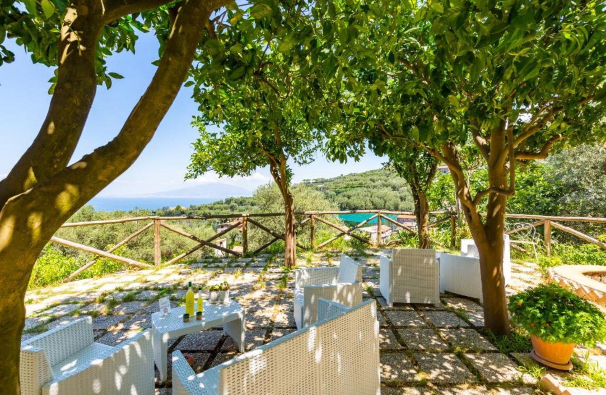 Lemon Grove Walk, Tasting and Open Bar Aperitivo in Sorrento - photo 4