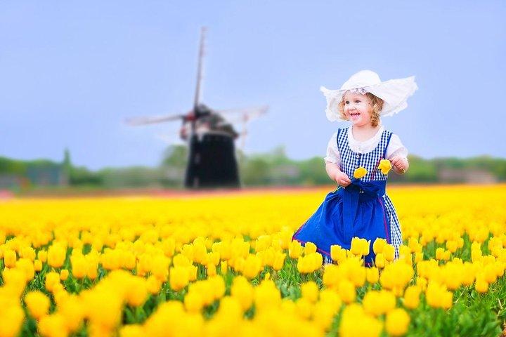 Delft and Keukenhof Gardens Tour - from Brussels - cover photo