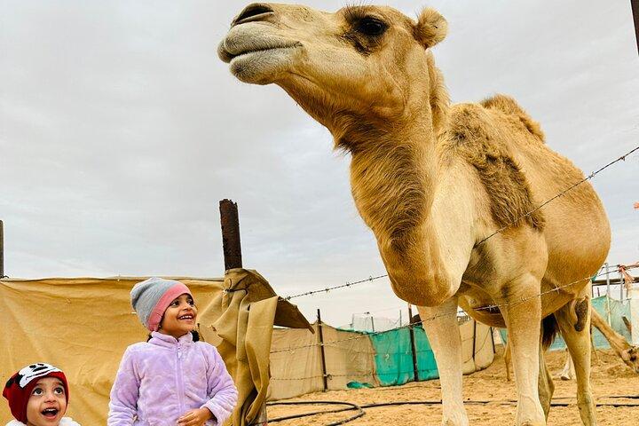 Abu Dhabi 4 hour Desert Safari, Dune Bashing and Camel Ride - photo 2