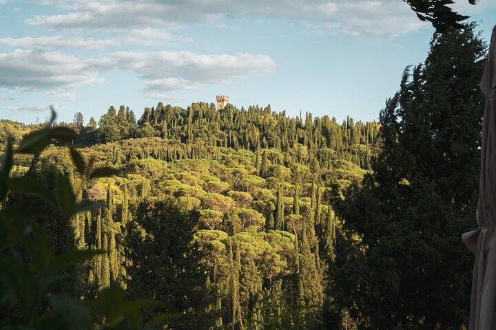 Wine Tasting on the Florentine Hills with Transfer Green - photo 4