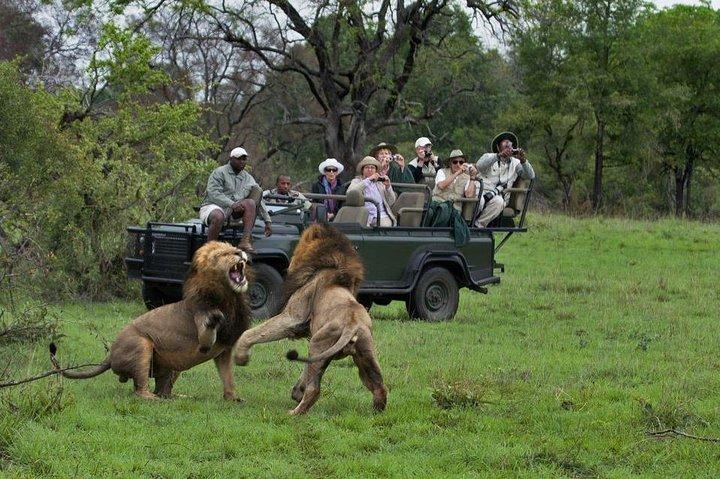 CAPE TOWN SOUTH AFRICA, 2 DAYS OVERNIGHT SAFARI TOUR GAME RESERVE - photo 2